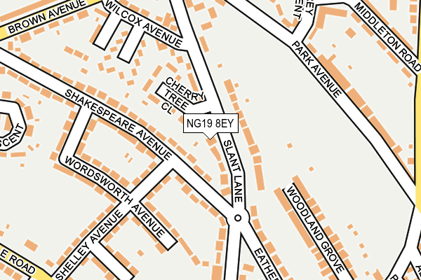 NG19 8EY map - OS OpenMap – Local (Ordnance Survey)