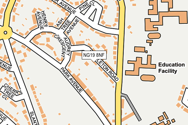 NG19 8NF map - OS OpenMap – Local (Ordnance Survey)