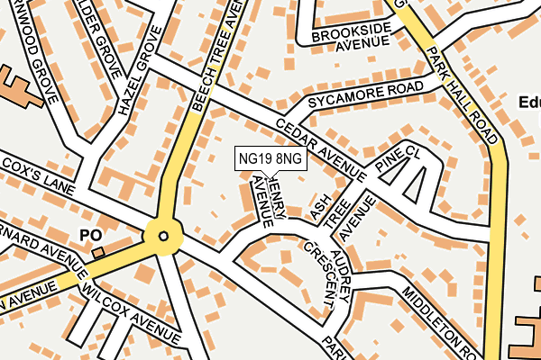 NG19 8NG map - OS OpenMap – Local (Ordnance Survey)