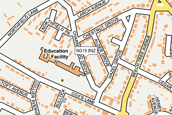 NG19 8NZ map - OS OpenMap – Local (Ordnance Survey)