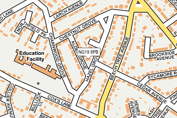 NG19 8PB map - OS OpenMap – Local (Ordnance Survey)
