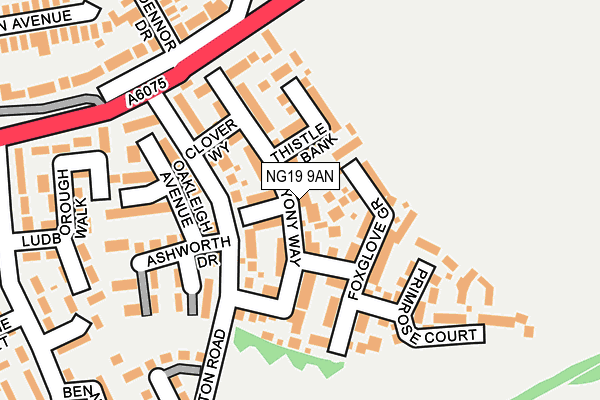 NG19 9AN map - OS OpenMap – Local (Ordnance Survey)