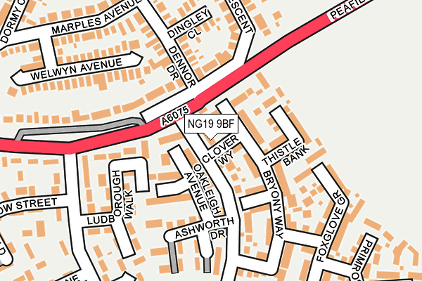 NG19 9BF map - OS OpenMap – Local (Ordnance Survey)