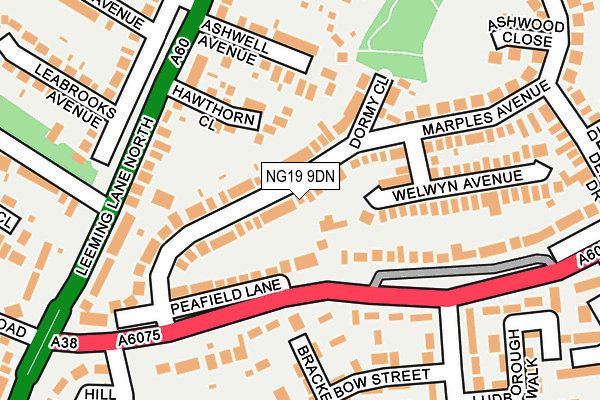 NG19 9DN map - OS OpenMap – Local (Ordnance Survey)