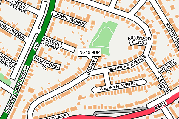 NG19 9DP map - OS OpenMap – Local (Ordnance Survey)