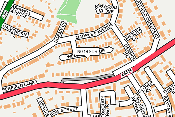 NG19 9DR map - OS OpenMap – Local (Ordnance Survey)