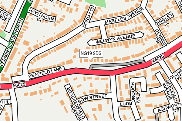 NG19 9DS map - OS OpenMap – Local (Ordnance Survey)