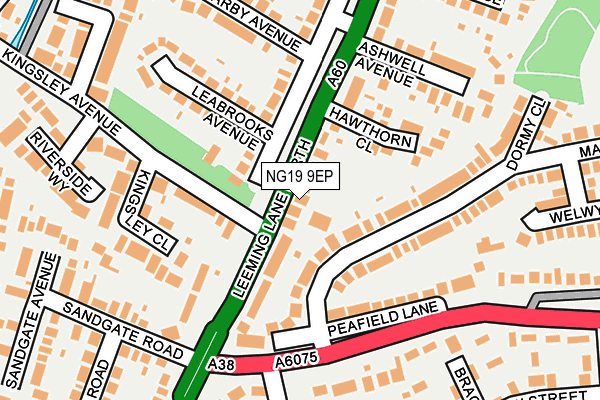 NG19 9EP map - OS OpenMap – Local (Ordnance Survey)