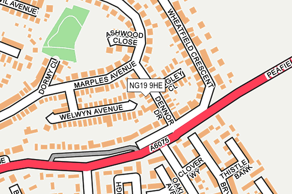 NG19 9HE map - OS OpenMap – Local (Ordnance Survey)