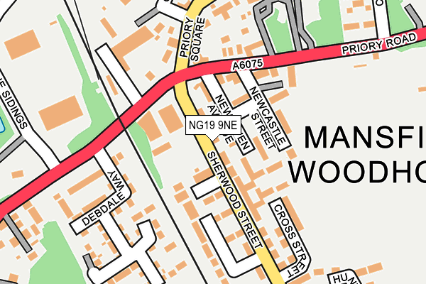 NG19 9NE map - OS OpenMap – Local (Ordnance Survey)