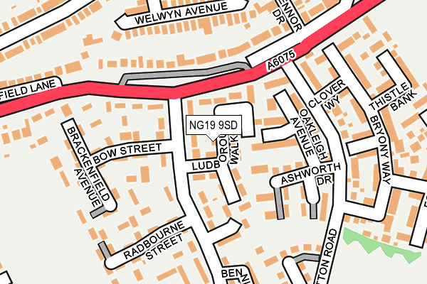 NG19 9SD map - OS OpenMap – Local (Ordnance Survey)