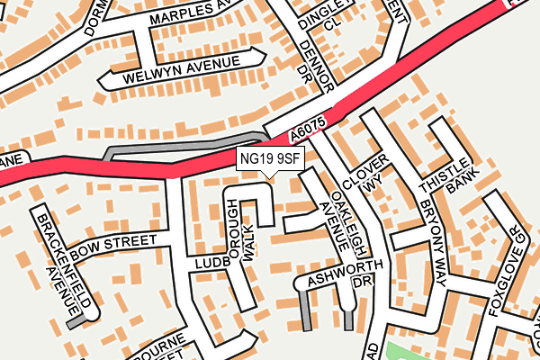 NG19 9SF map - OS OpenMap – Local (Ordnance Survey)