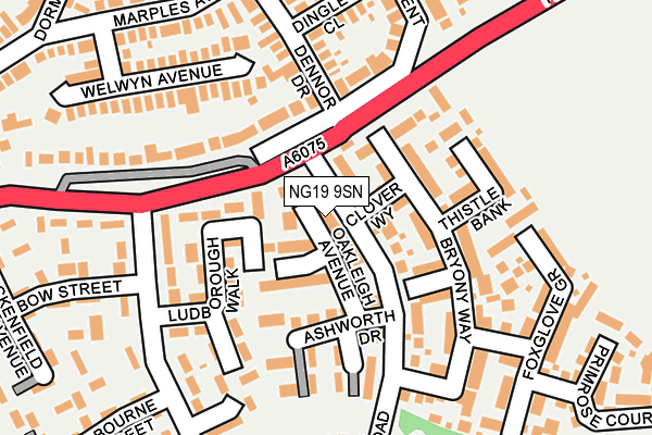 NG19 9SN map - OS OpenMap – Local (Ordnance Survey)