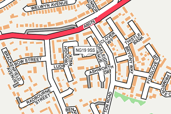 NG19 9SS map - OS OpenMap – Local (Ordnance Survey)