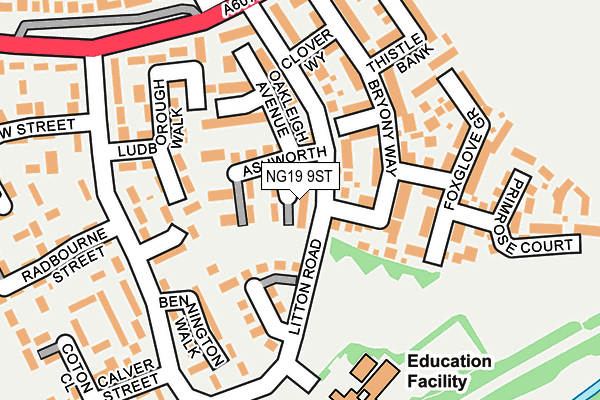 NG19 9ST map - OS OpenMap – Local (Ordnance Survey)