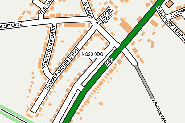 NG20 0DG map - OS OpenMap – Local (Ordnance Survey)