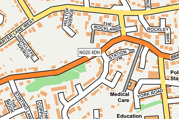 NG20 8DH map - OS OpenMap – Local (Ordnance Survey)