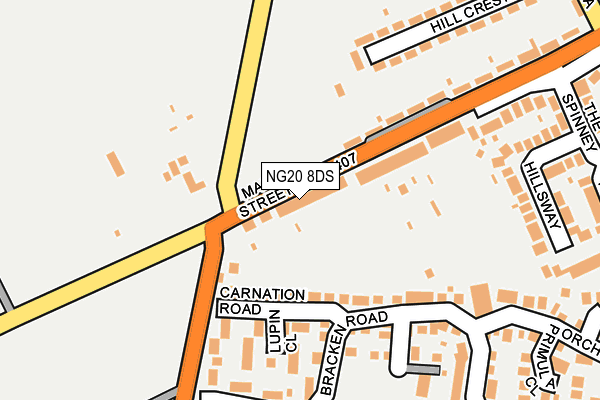 NG20 8DS map - OS OpenMap – Local (Ordnance Survey)