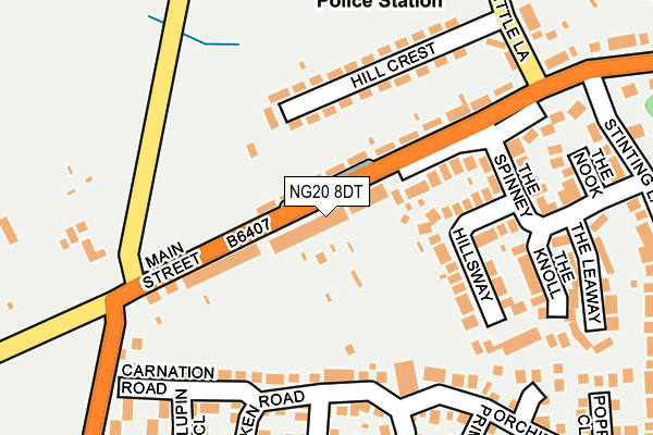 NG20 8DT map - OS OpenMap – Local (Ordnance Survey)