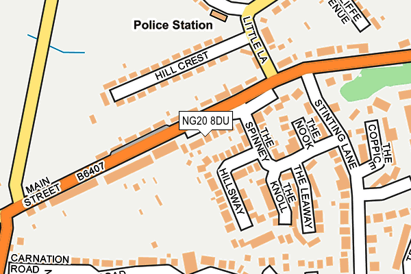 NG20 8DU map - OS OpenMap – Local (Ordnance Survey)