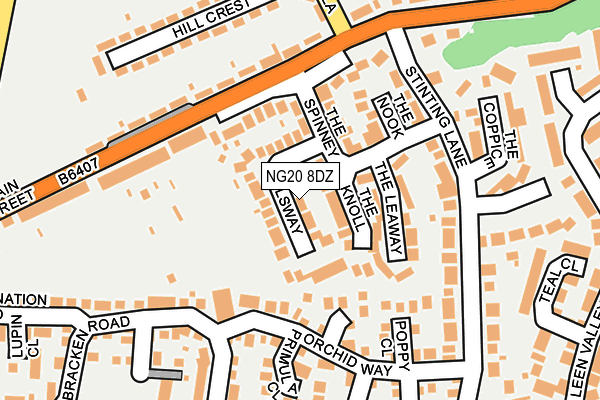 NG20 8DZ map - OS OpenMap – Local (Ordnance Survey)