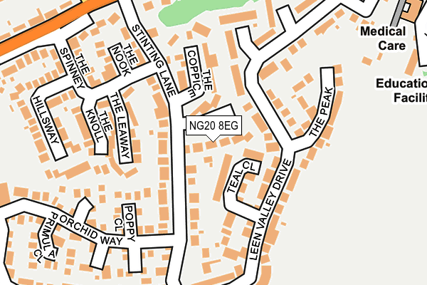 NG20 8EG map - OS OpenMap – Local (Ordnance Survey)