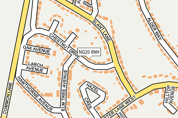 NG20 8NH map - OS OpenMap – Local (Ordnance Survey)