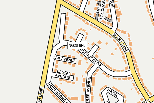 NG20 8NJ map - OS OpenMap – Local (Ordnance Survey)