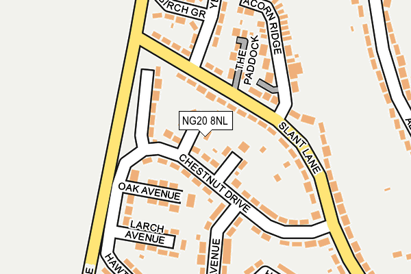 NG20 8NL map - OS OpenMap – Local (Ordnance Survey)