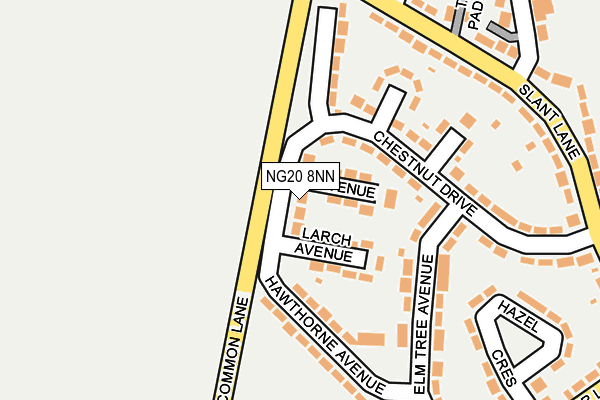 NG20 8NN map - OS OpenMap – Local (Ordnance Survey)