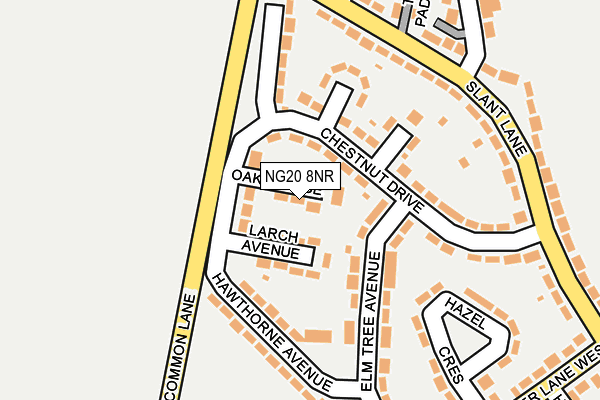 NG20 8NR map - OS OpenMap – Local (Ordnance Survey)