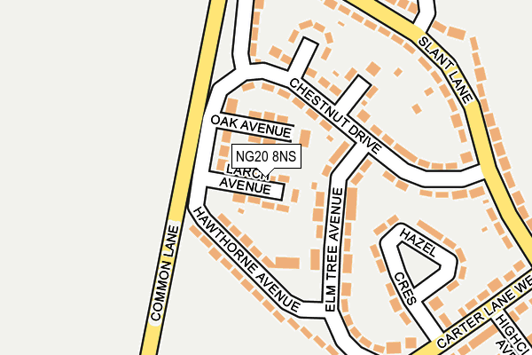 NG20 8NS map - OS OpenMap – Local (Ordnance Survey)