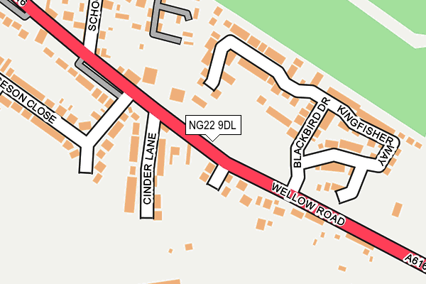 NG22 9DL map - OS OpenMap – Local (Ordnance Survey)