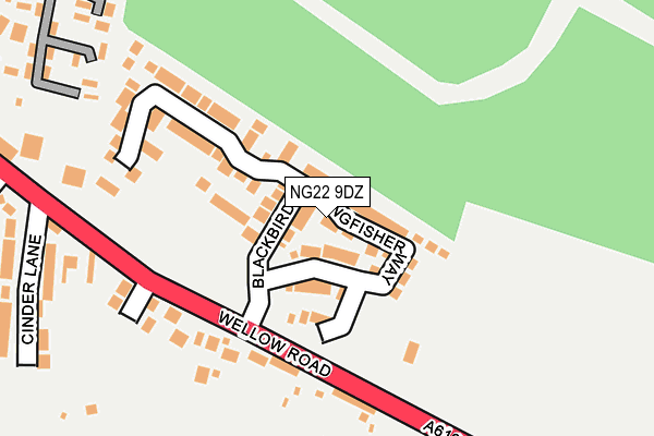 NG22 9DZ map - OS OpenMap – Local (Ordnance Survey)
