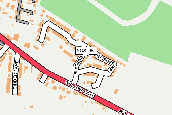 NG22 9EJ map - OS OpenMap – Local (Ordnance Survey)