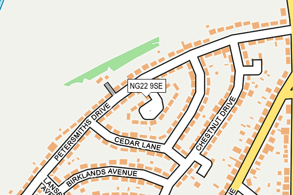 NG22 9SE map - OS OpenMap – Local (Ordnance Survey)