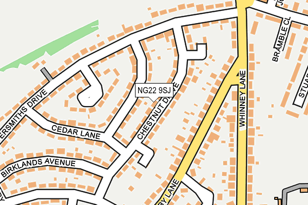 NG22 9SJ map - OS OpenMap – Local (Ordnance Survey)