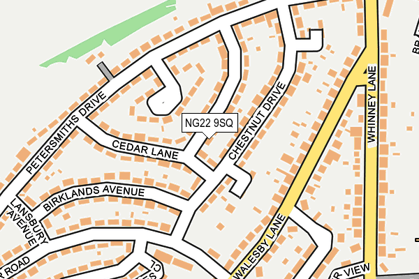 NG22 9SQ map - OS OpenMap – Local (Ordnance Survey)