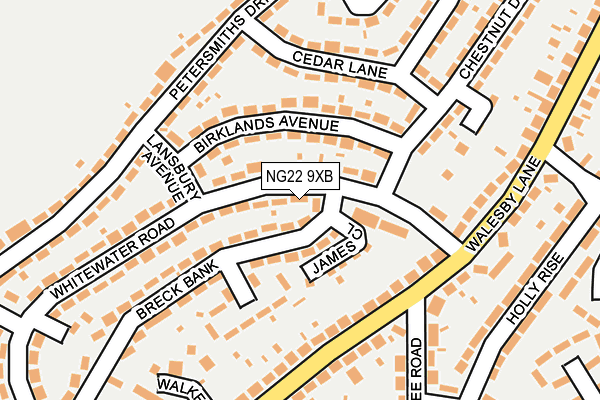 NG22 9XB map - OS OpenMap – Local (Ordnance Survey)
