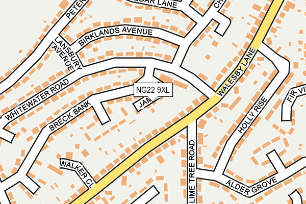 NG22 9XL map - OS OpenMap – Local (Ordnance Survey)
