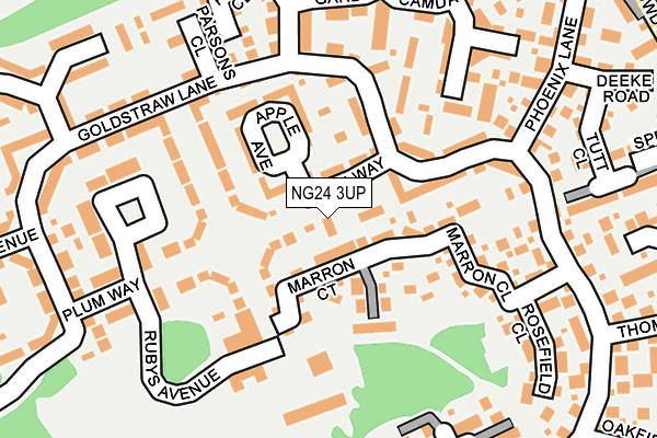 NG24 3UP map - OS OpenMap – Local (Ordnance Survey)