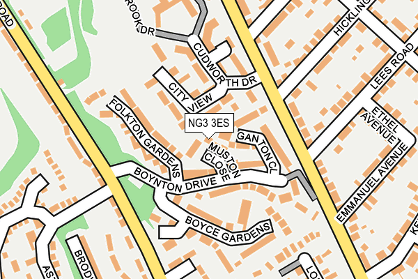 NG3 3ES map - OS OpenMap – Local (Ordnance Survey)