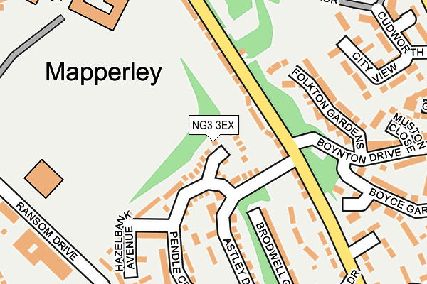 NG3 3EX map - OS OpenMap – Local (Ordnance Survey)