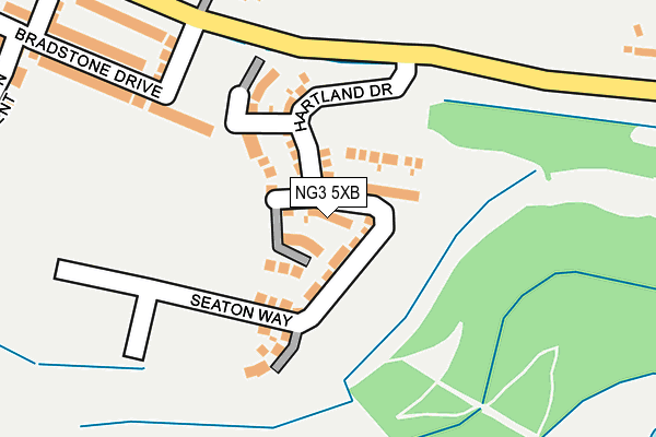 NG3 5XB map - OS OpenMap – Local (Ordnance Survey)
