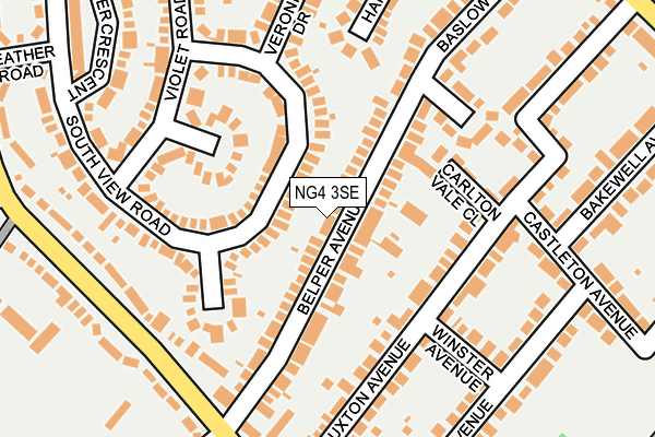 NG4 3SE map - OS OpenMap – Local (Ordnance Survey)