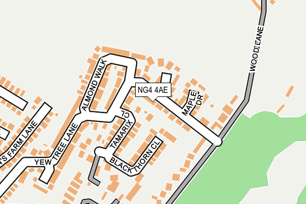 NG4 4AE map - OS OpenMap – Local (Ordnance Survey)