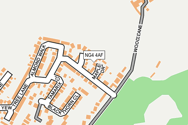 NG4 4AF map - OS OpenMap – Local (Ordnance Survey)