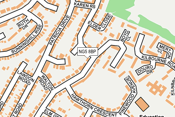 NG5 8BP map - OS OpenMap – Local (Ordnance Survey)