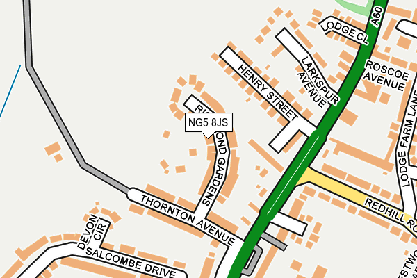 NG5 8JS map - OS OpenMap – Local (Ordnance Survey)