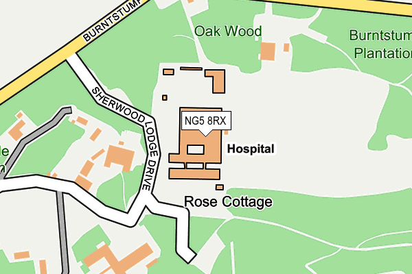 NG5 8RX map - OS OpenMap – Local (Ordnance Survey)